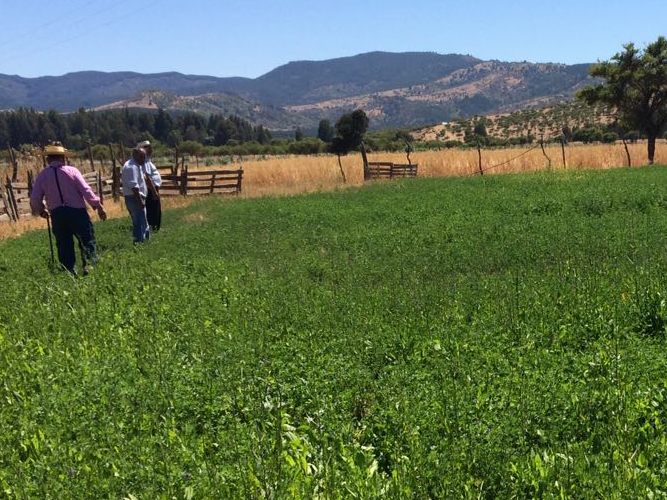 Fomento a la agricultura regenerativa, un desafío de Ovisnova