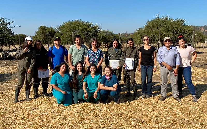 Ovisnova realizó curso de verano para estudiantes de Medicina Veterinaria de la UST Talca